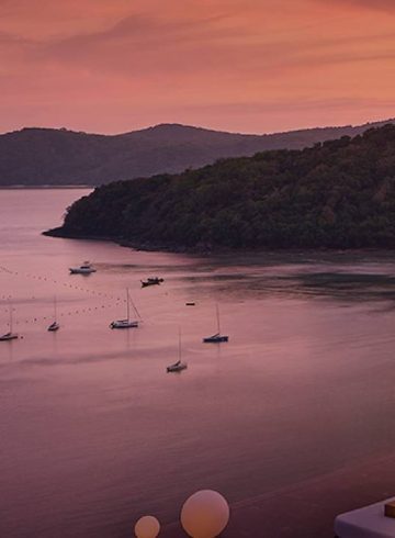 yon-luminescence-2025