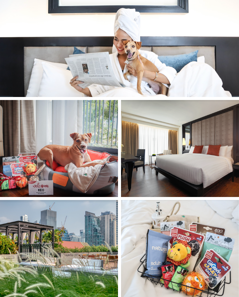 Pet-friendly hotel Bangkok