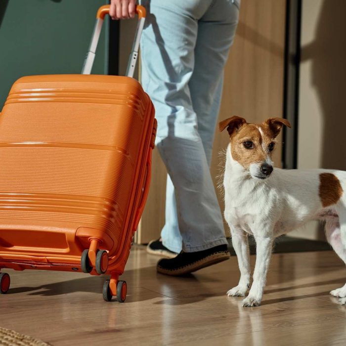 Pet friendly hotel in Bangkok