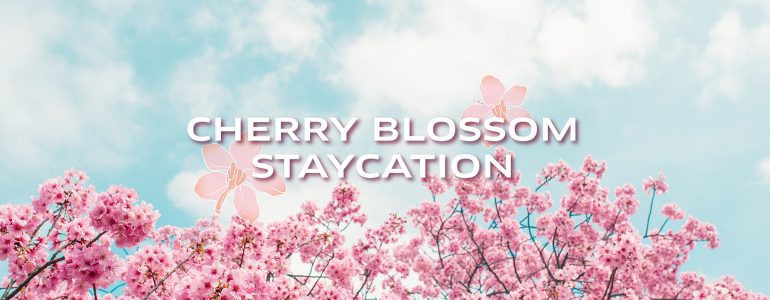 spring-special-package-cherry-blossom-staycation