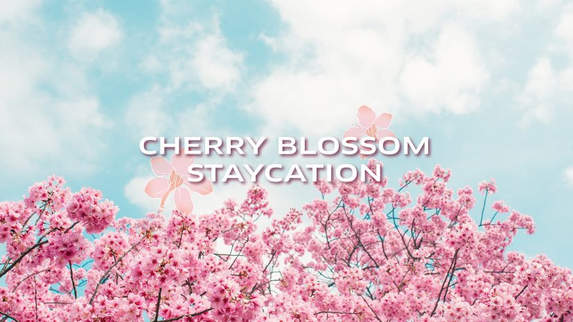 spring-special-package-cherry-blossom-staycation