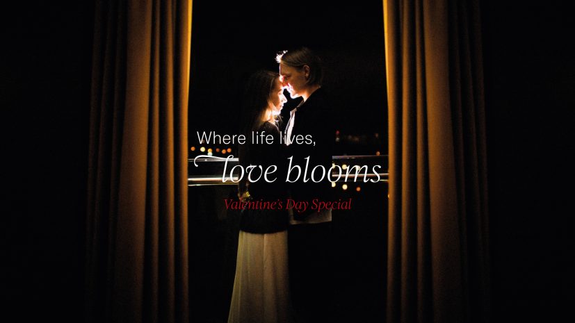 valentines-day-special-dining