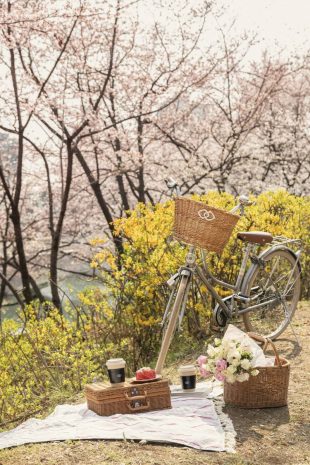 sofitel-velo