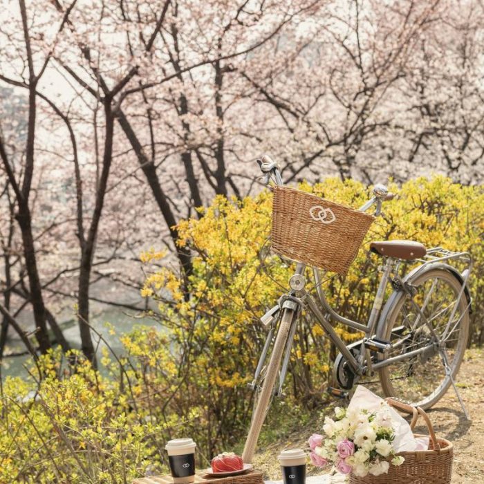 sofitel-velo