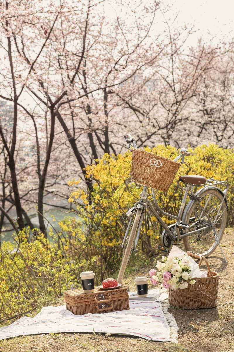sofitel-velo