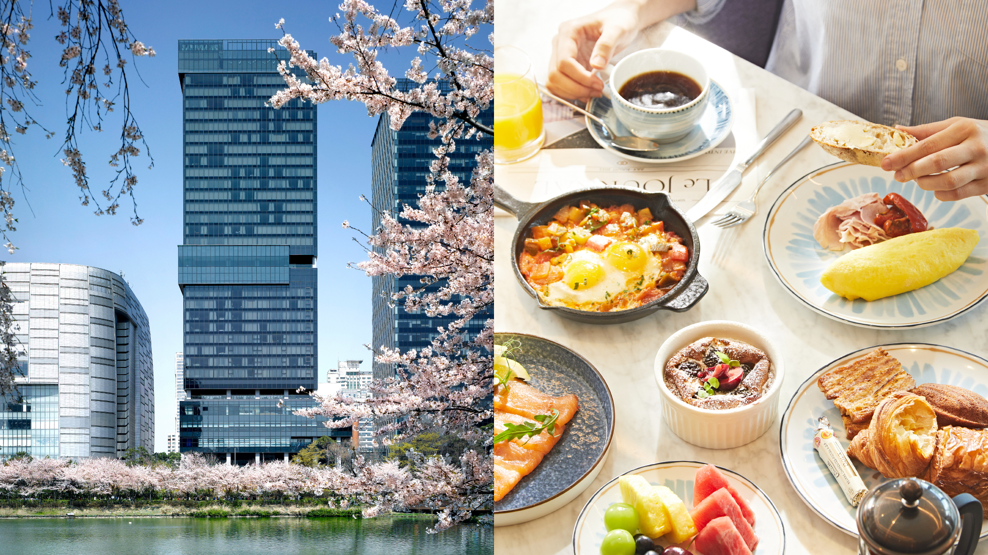 %eb%b4%84-%ed%8c%a8%ed%82%a4%ec%a7%80%ef%bd%9cprintemps-en-rose