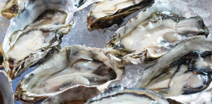 oyster-_-king-crab