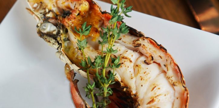 oyster-king-crab-15
