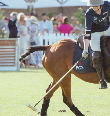 adelaide-polo-classic-packages
