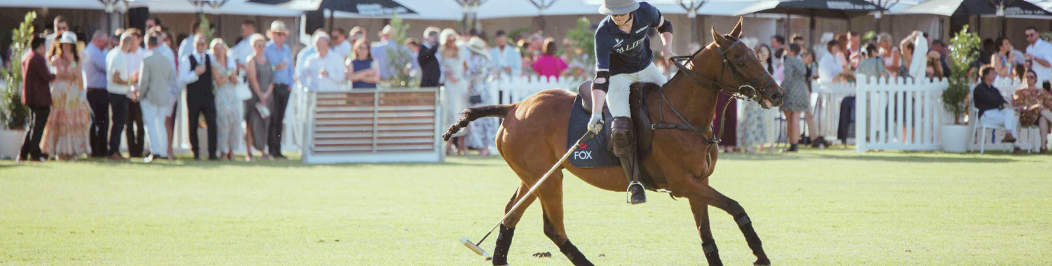 adelaide-polo-classic-packages