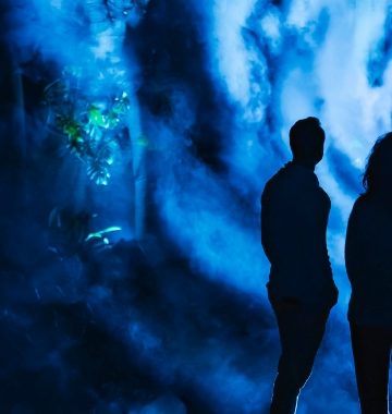 illuminate-adelaide-winter-staycation