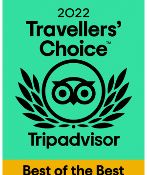 2022-tripadvisor-best-of-best-award