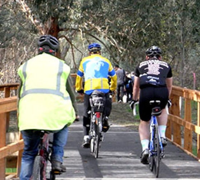mullum-mullum-trail