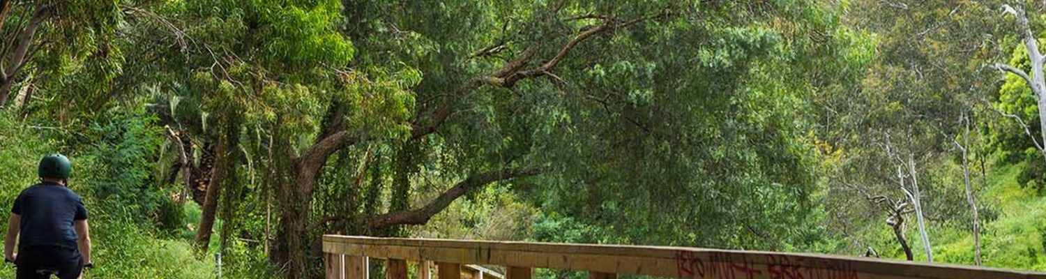Main Yarra Trail