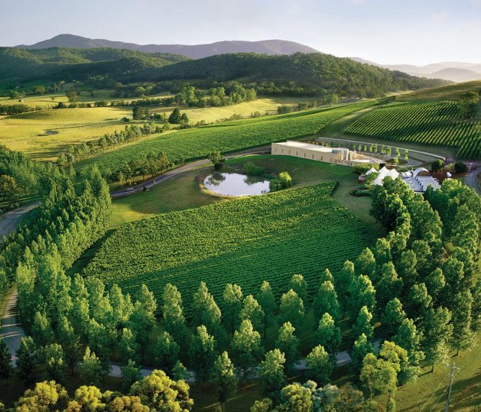 top-things-to-do-in-the-yarra-valley