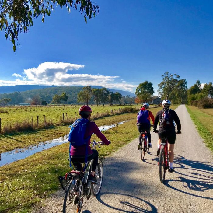 yarra-valley-rail-trail-a-scenic-cycling-adventure