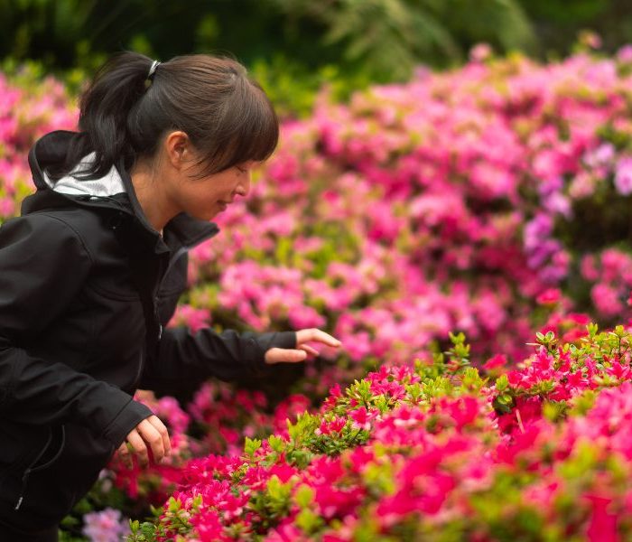 dandenong-ranges-botanic-garden