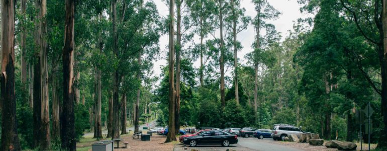 wildlife-encounters-at-grants-picnic-ground