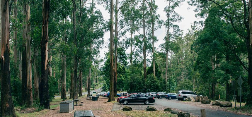 Grants Picnic Ground