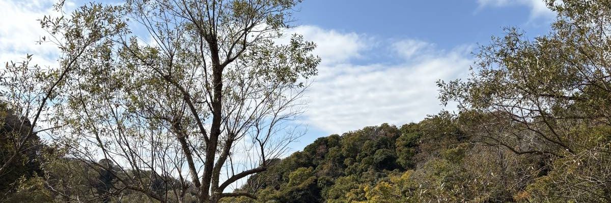 %e5%b0%8f%e7%b6%b2%e4%bb%a3%e3%81%ae%e6%a3%ae