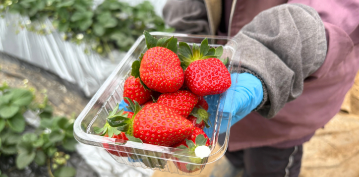 %e3%82%a2%e3%83%95%e3%82%bf%e3%83%8c%e3%83%bc%e3%83%b3%e3%83%86%e3%82%a3%e3%83%bc%e7%94%bb%e5%83%8f-6