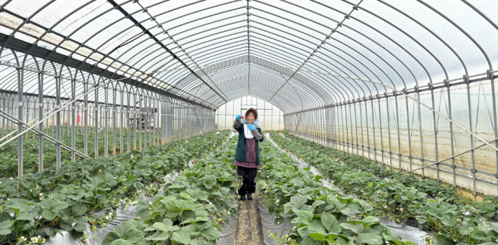 %e3%82%a2%e3%83%95%e3%82%bf%e3%83%8c%e3%83%bc%e3%83%b3%e3%83%86%e3%82%a3%e3%83%bc%e7%94%bb%e5%83%8f-5