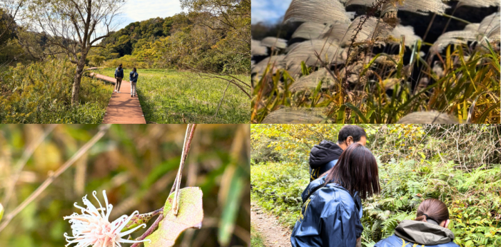 %e5%90%8d%e7%a7%b0%e6%9c%aa%e8%a8%ad%e5%ae%9a%e3%81%ae%e3%83%87%e3%82%b6%e3%82%a4%e3%83%b3-50