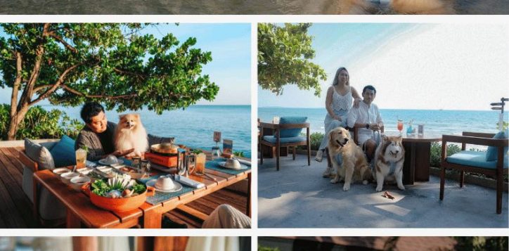 pet-friendly-hotel-in-rayong-3