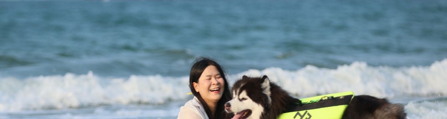 pet-journey