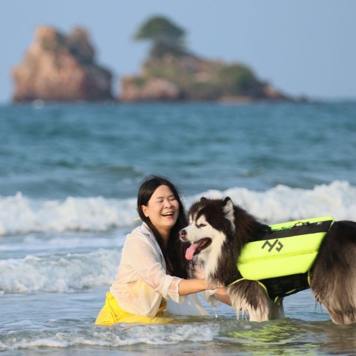 pet-journey