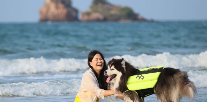 pet-friendly-hotel-in-rayong-5