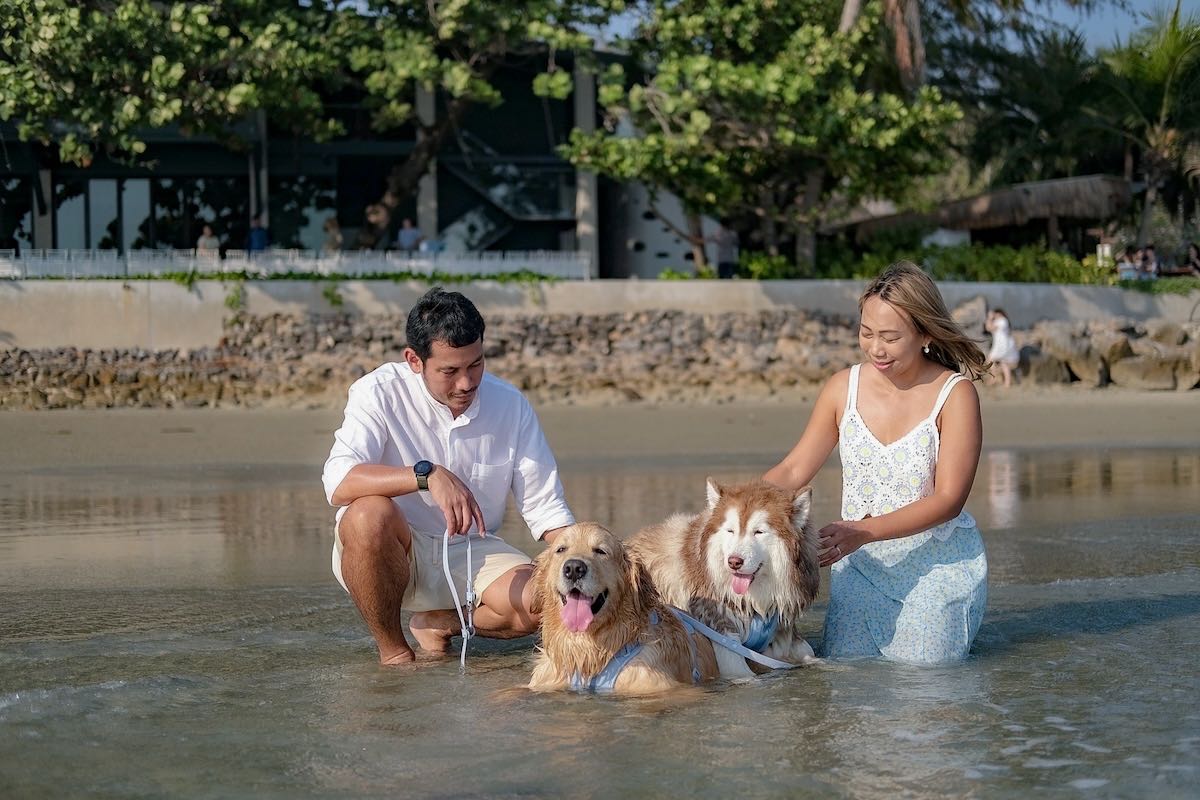 โรงแรมนำสัตว์เลี้ยงเข้าพักได้ในระยอง