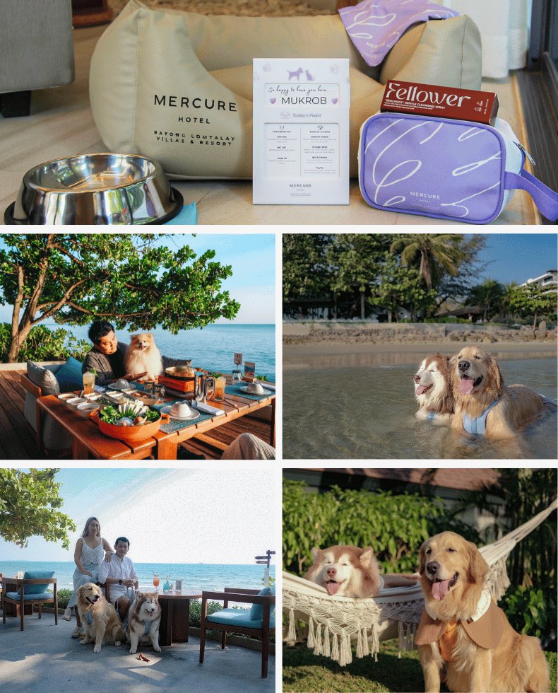 โรงแรมนำสัตว์เลี้ยงเข้าพักได้ในระยอง