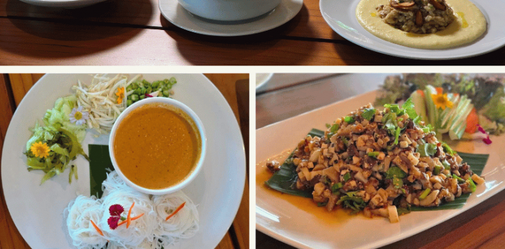 vegen-food-in-rayong