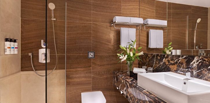 b9h8-superior-and-deluxe-superior-bathroom-3