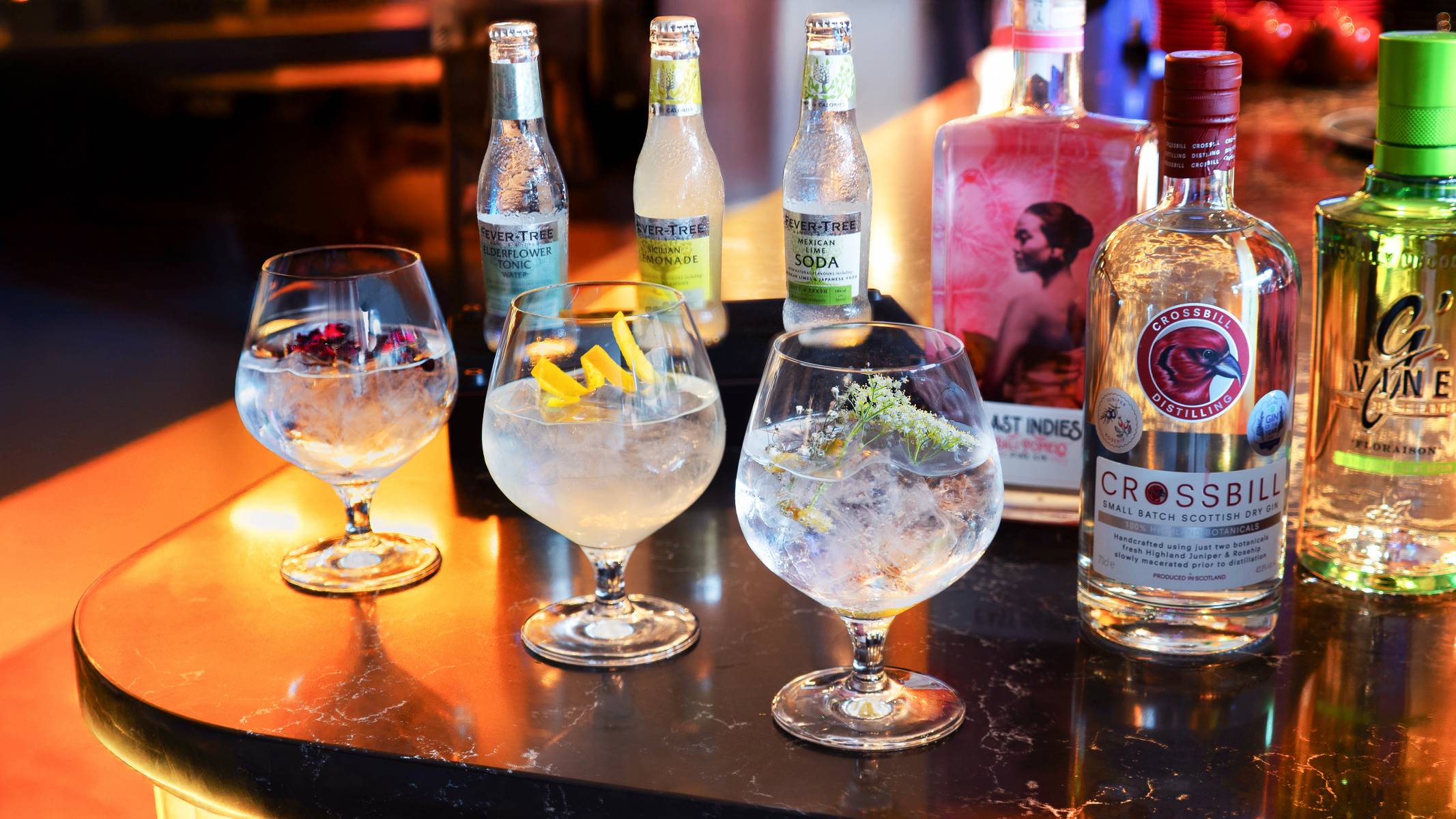 YOUR ULTIMATE GIN & TONIC ESCAPE