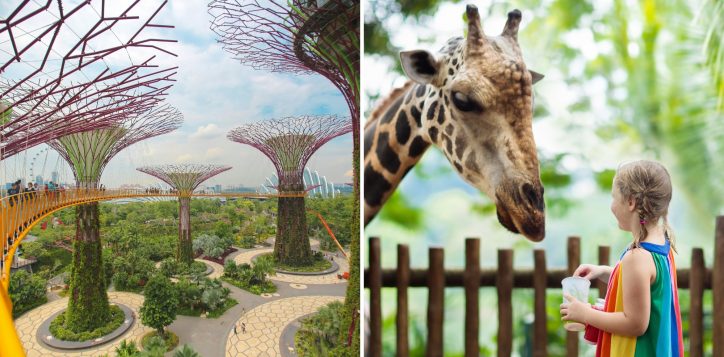 orchard-medical-specialists-centre