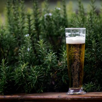beer-garden-grand-opening
