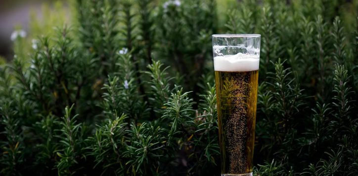 beer-garden-grand-opening