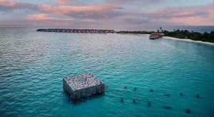 The Coralarium_Fairmont Maldives_2200x1200