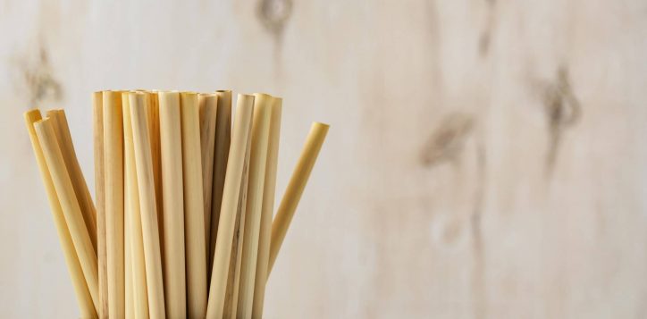 eco-friendly-environment-bamboo-tube-straws-copy-space