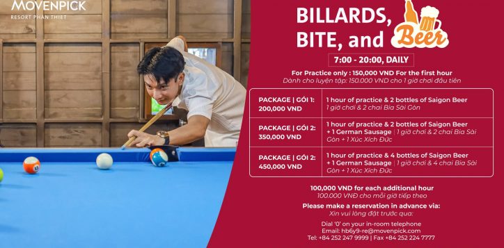 billiard-flyer-ngang