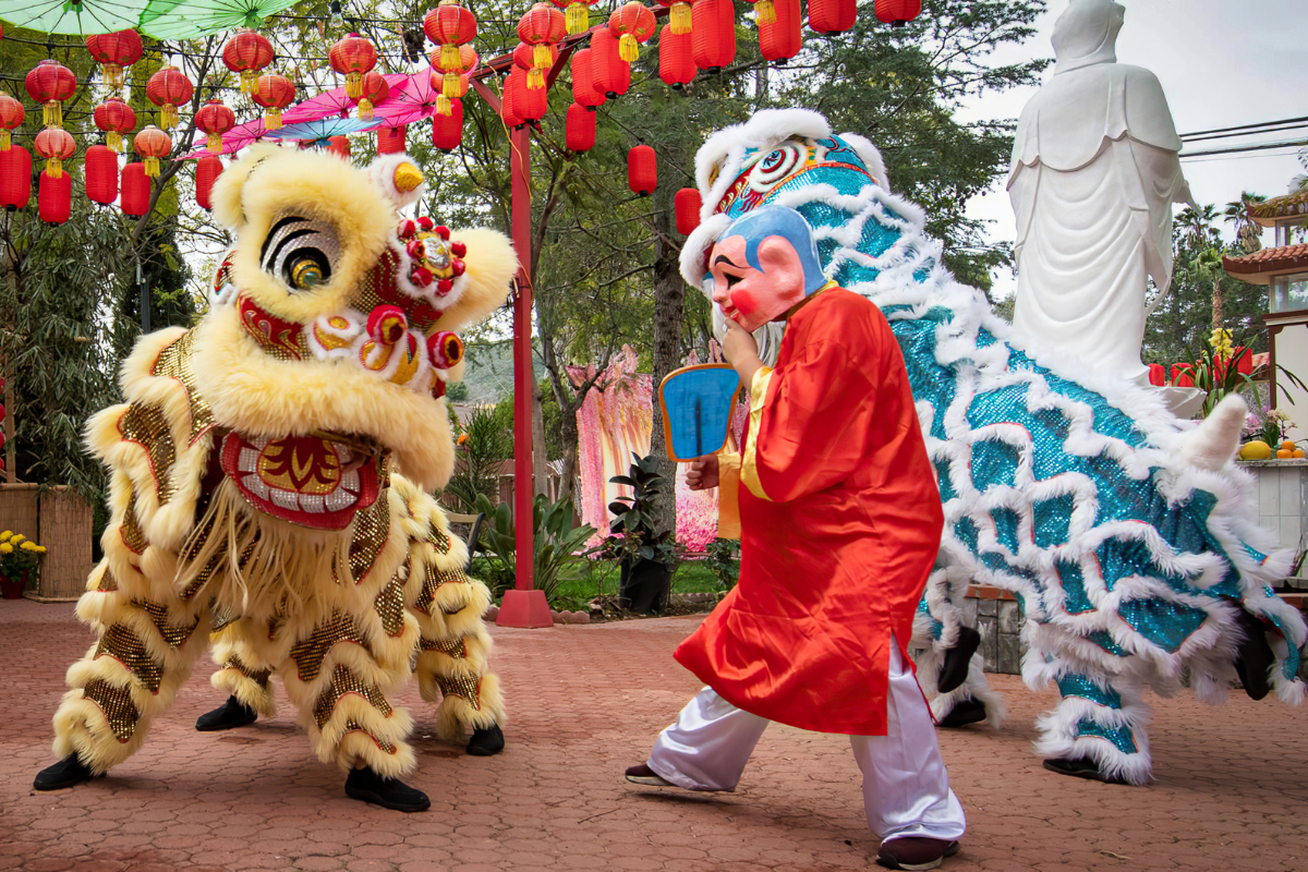 Lion Dance Tet