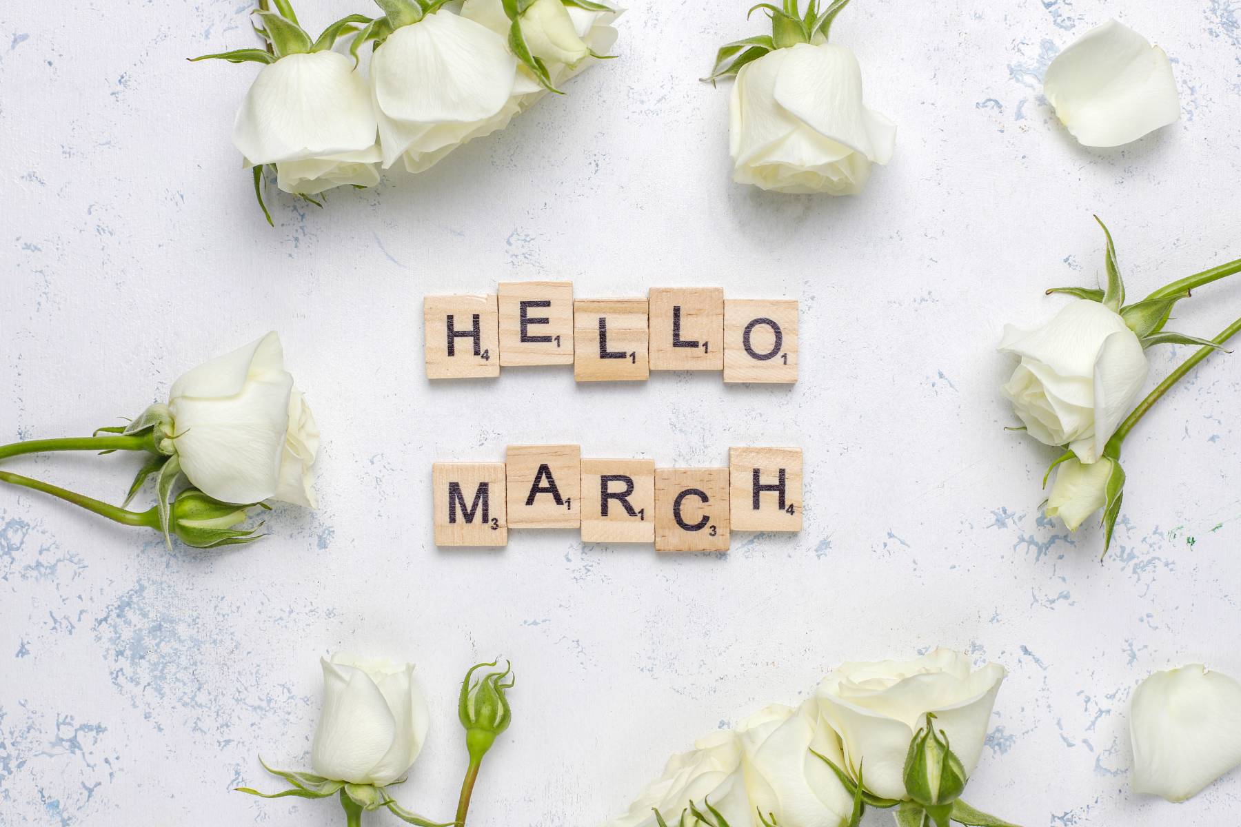 March Promotions 2026