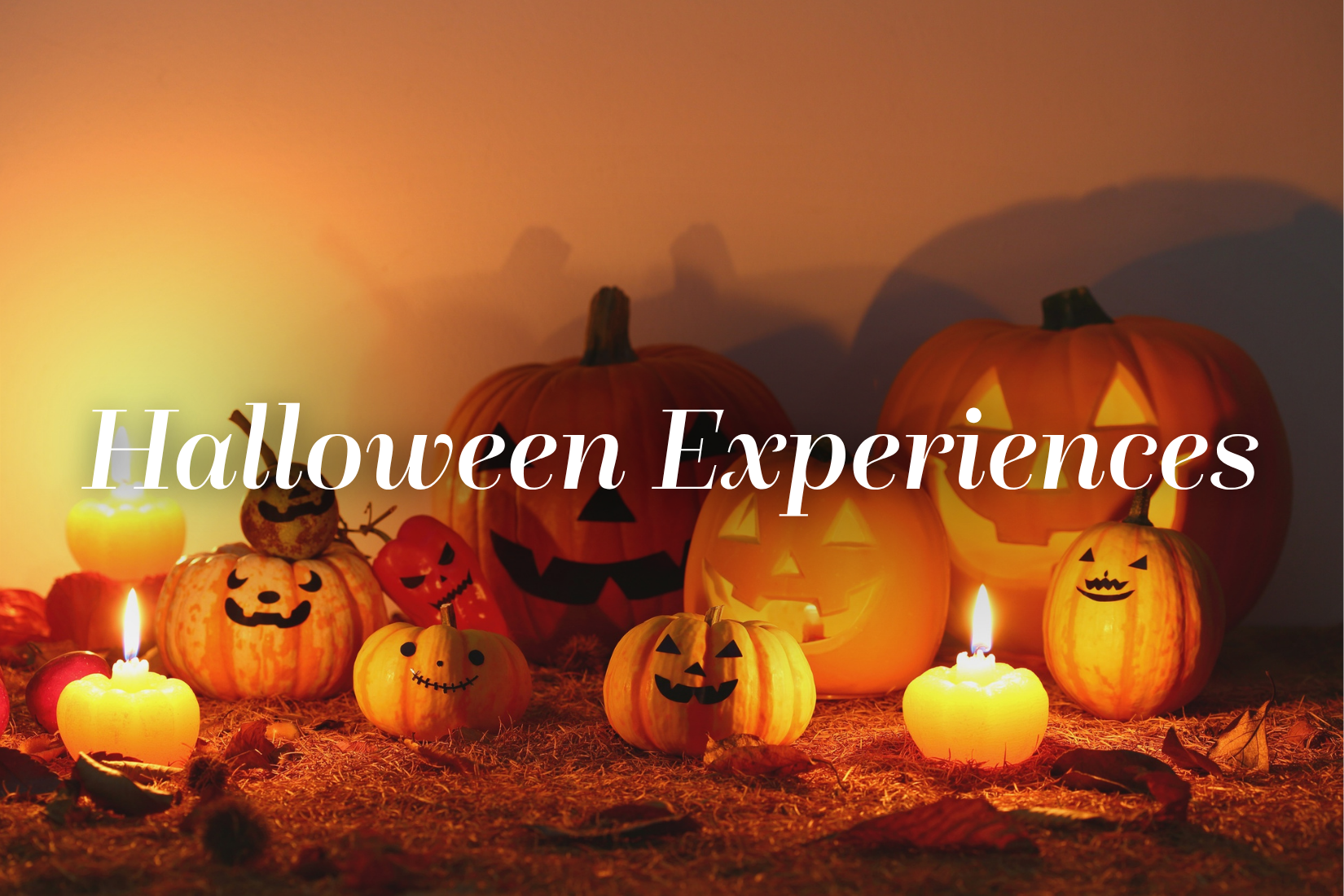 Trải Nghiệm Ẩm Thực Halloween