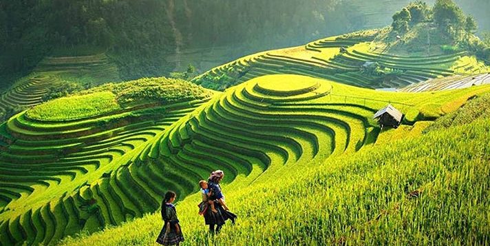 sapa-wallpaper