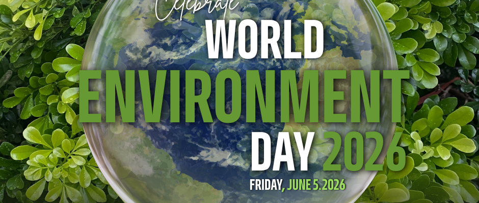 world-environment-day-2026-minigame