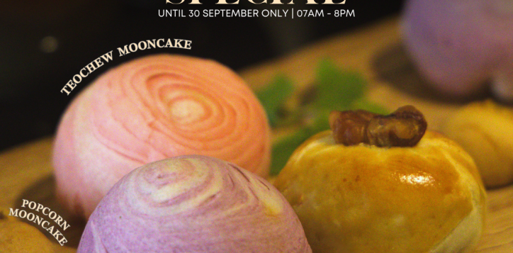 mooncake-square