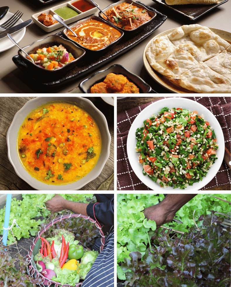 Indian food in Chiang Mai