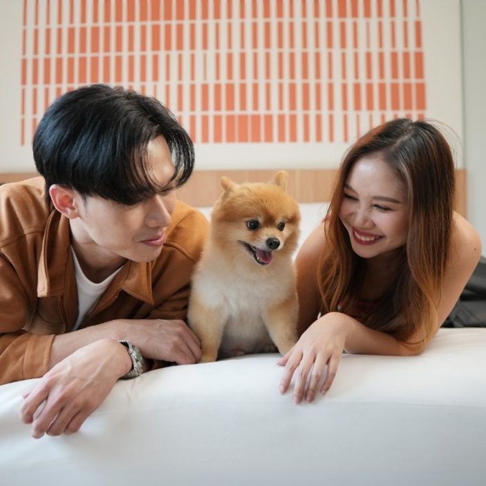 pet-friendly-hotel-in-chiang-mai